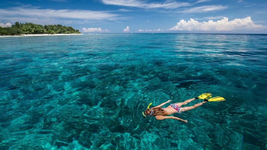 Vibrant coral reefs teeming with marine life, a highlight of snorkeling tours in Lombok's Gili islands